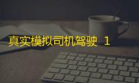 真实模拟司机驾驶  1.0.31
